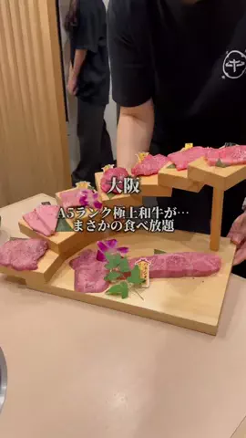 けん | 大阪の歩き方 | 大阪お出かけのTikTok投稿