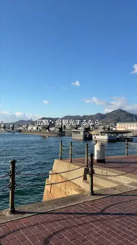 ななちぇ FriesのTikTok投稿