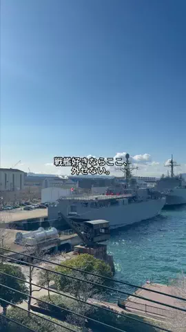 ななちぇ FriesのTikTok投稿