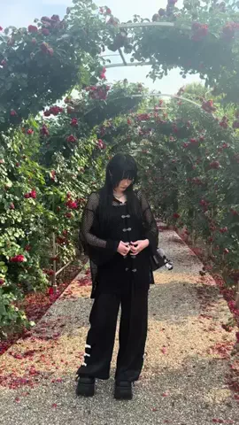 紅茶\🍅/のTikTok投稿