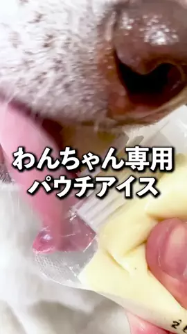おすすめるーむのTikTok投稿