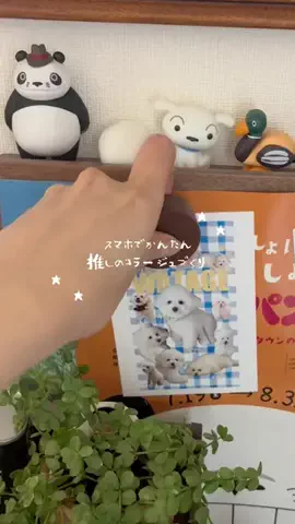 senのTikTok投稿