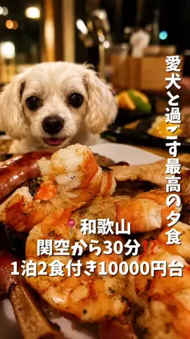 にゃろめさん🐾関西遊びฅのTikTok投稿