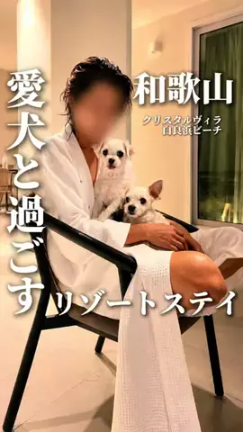 にゃろめさん🐾関西遊びฅのTikTok投稿