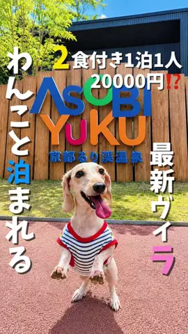 にゃろめさん🐾関西遊びฅのTikTok投稿