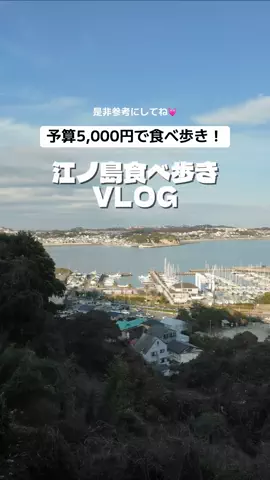 群馬発すー旅⌇旅と暮らしのTikTok投稿