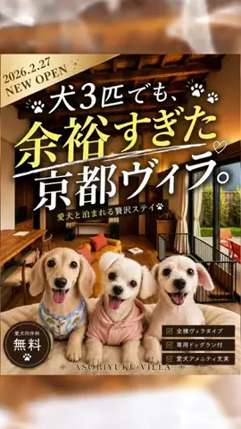 にゃろめさん🐾関西遊びฅのTikTok投稿