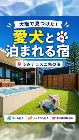にゃろめさん🐾関西遊びฅのTikTok投稿