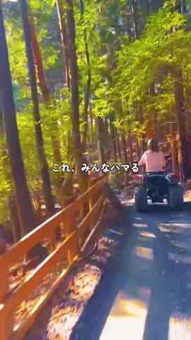 にゃろめさん🐾関西遊びฅのTikTok投稿