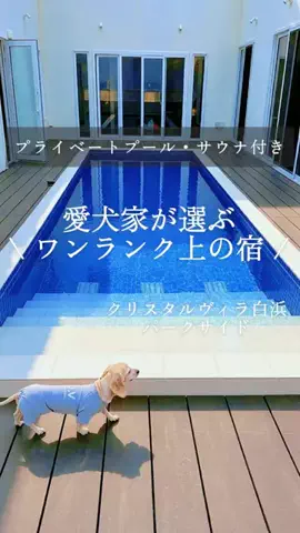 にゃろめさん🐾関西遊びฅのTikTok投稿