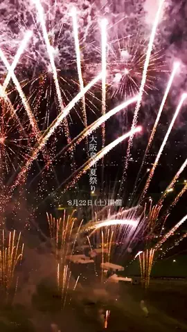 NoLa┆15秒で知る東大阪グルメのTikTok投稿
