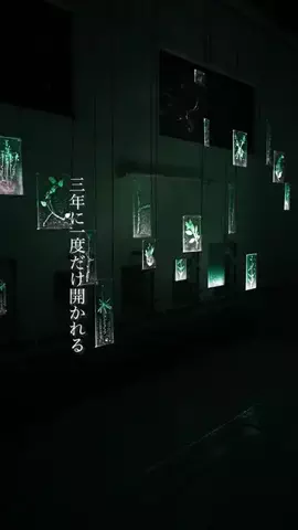 muto.story7777のTikTok投稿
