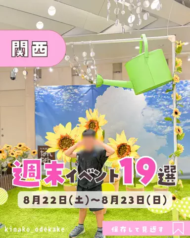 きなこ|大阪ママのTikTok投稿