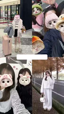 くれはのTikTok投稿