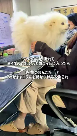 らら| 腸活オタクのTikTok投稿
