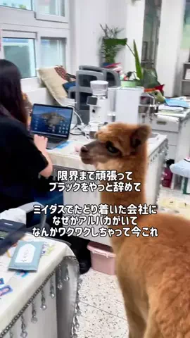 らら| 腸活オタクのTikTok投稿