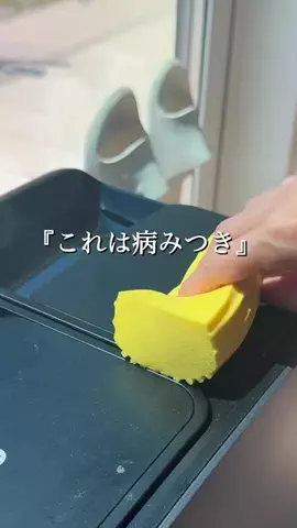 ちこのおうちのTikTok投稿