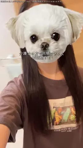 あみ┊︎限界介護士のTikTok投稿
