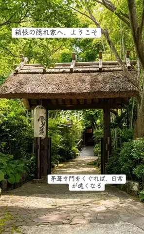 ホカンス日記 🌿のTikTok投稿