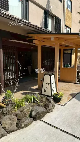 ホカンス日記 🌿のTikTok投稿