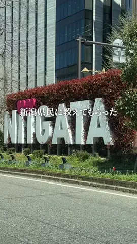 新潟グルメ/NIIGTA SELECTのTikTok投稿