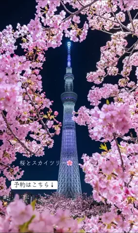 ホカンス日記 🌿のTikTok投稿