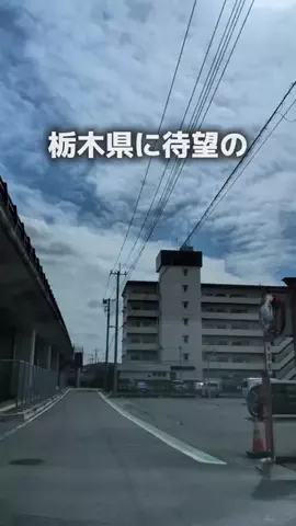 かりえ│栃木グルメ・茨城グルメ・おでかけのTikTok投稿