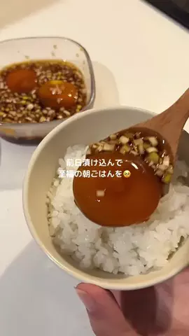 チュモッパのTikTok投稿