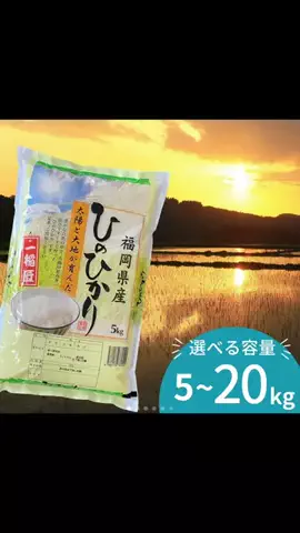 こっちゃんのTikTok投稿