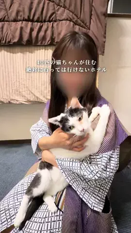 しおり｜女子向けおでかけ・旅行情報🎀のTikTok投稿