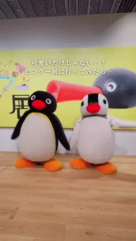 しおり｜女子向けおでかけ・旅行情報🎀のTikTok投稿