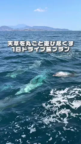 カイセイの九州旅🏃🏻‍♂️👍🏻のTikTok投稿