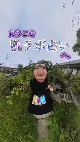 ささみちゃんねるのTikTok投稿