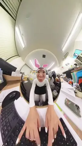 ささみちゃんねるのTikTok投稿