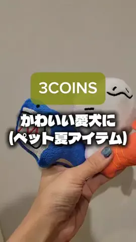 3coins_oikeのTikTok投稿