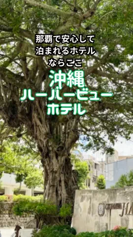 おっきー 🍍沖縄人のTikTok投稿
