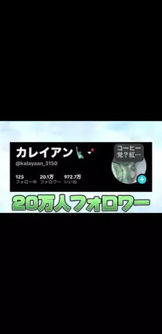 カレイアン🗽のTikTok投稿