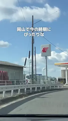 岡山グルメ／OKAYAMA SELECTのTikTok投稿