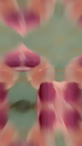 トレンド情報局のTikTok投稿