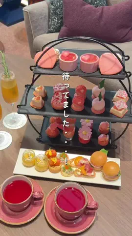 オズモール編集部⌇東京グルメ🎀のTikTok投稿