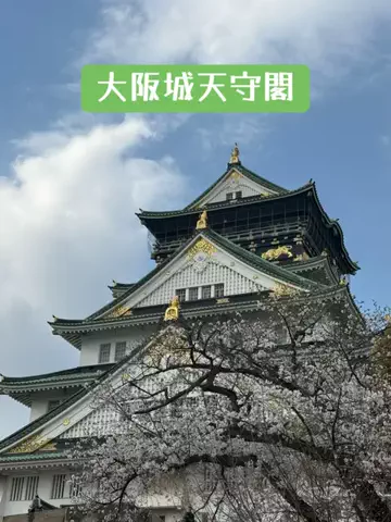 日本語くまさんのTikTok投稿