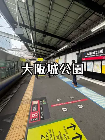 日本語くまさんのTikTok投稿