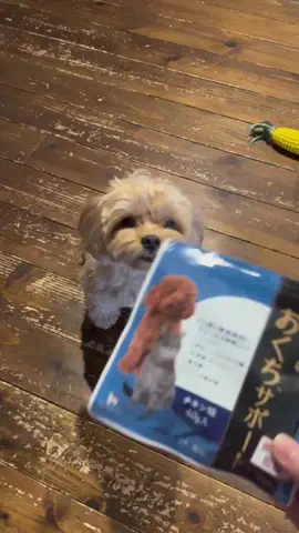 ゆりごはんのTikTok投稿