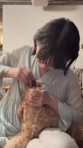 ゆりごはんのTikTok投稿