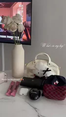 🪽のTikTok投稿