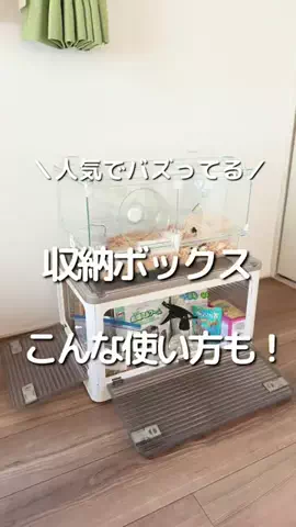なるママ｜ズボラでも整う暮らし術のTikTok投稿