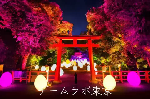 mのTikTok投稿