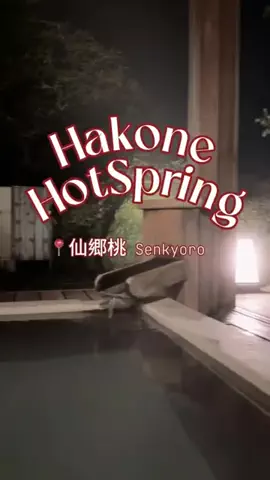 RIEのTikTok投稿