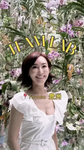 RIEのTikTok投稿