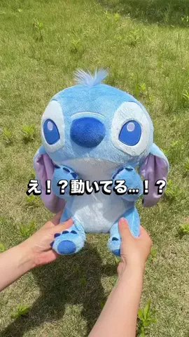ゆみのTikTok投稿